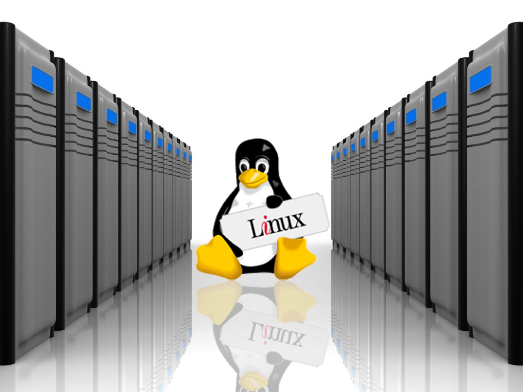 So sánh Windows Server và Linux Server chi tiết